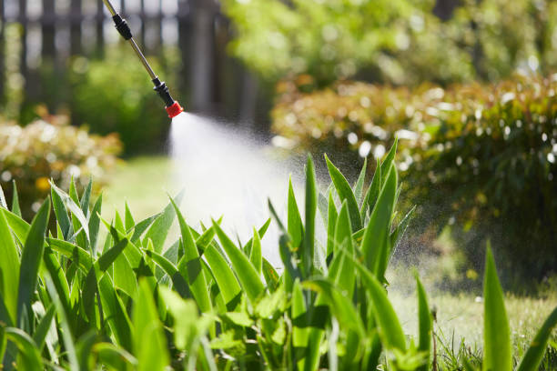 24/7 Emergency Ant Control experts in Spout Springs, NC
